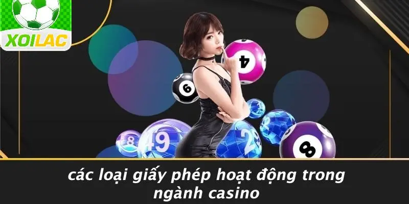 Các Loại Giấy Phép Hoạt Động Trong Ngành Casino