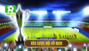 Kèo cược đội vô địch