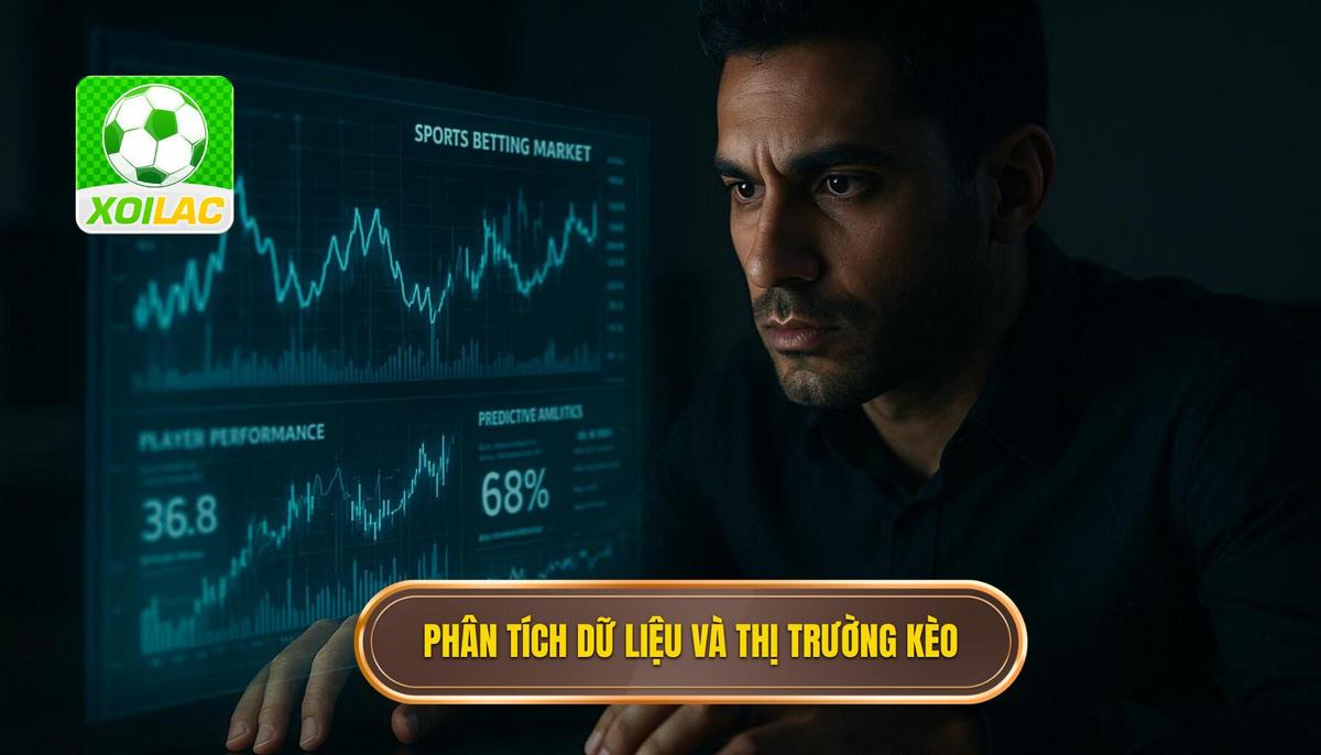 Phân tích dữ liệu thực tế và biến động thị trường kèo