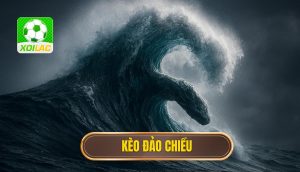 thumb - kèo đảo chiều