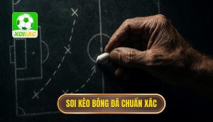 thumb - soi kèo bóng đá chuẩn xác