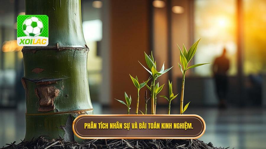 1. Phân tích nhân sự và bài toán kinh nghiệm.