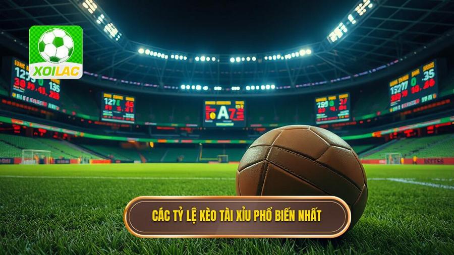 Các tỷ lệ kèo bóng đá tài xỉu phổ biến nhất hiện nay