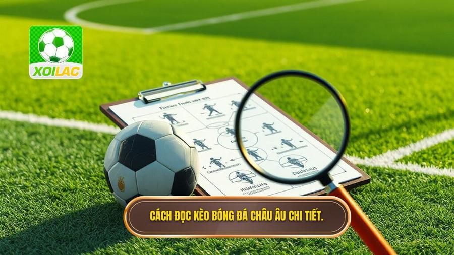 Hướng dẫn chi tiết cách đọc kèo bóng đá châu Âu