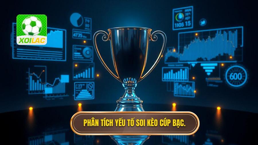 Phân tích các yếu tố then chốt khi soi Kèo cược đội giành cúp bạc