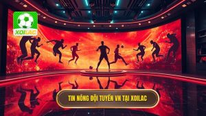 Tin nóng đội tuyển Việt Nam