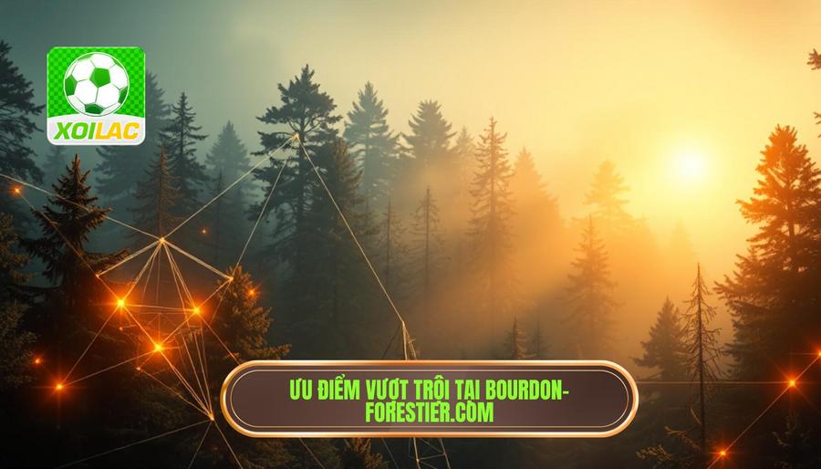 Những ưu điểm vượt trội khi trải nghiệm tại bourdon-forestier.com