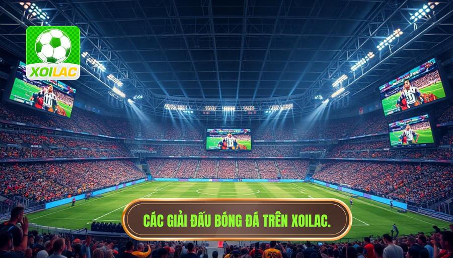 Hệ thống giải đấu đa dạng trên Xoilac xem bóng đá HD Hệ thống giải đấu đa dạng trên Xoilac xem bóng đá HD